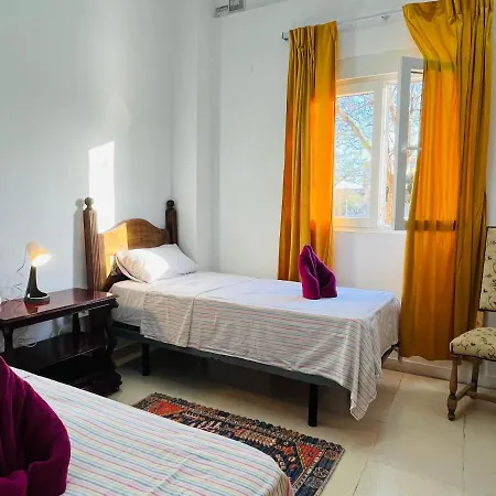 Art House Αλικάντε