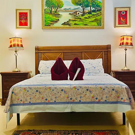 Art House Πανσιόν Αλικάντε